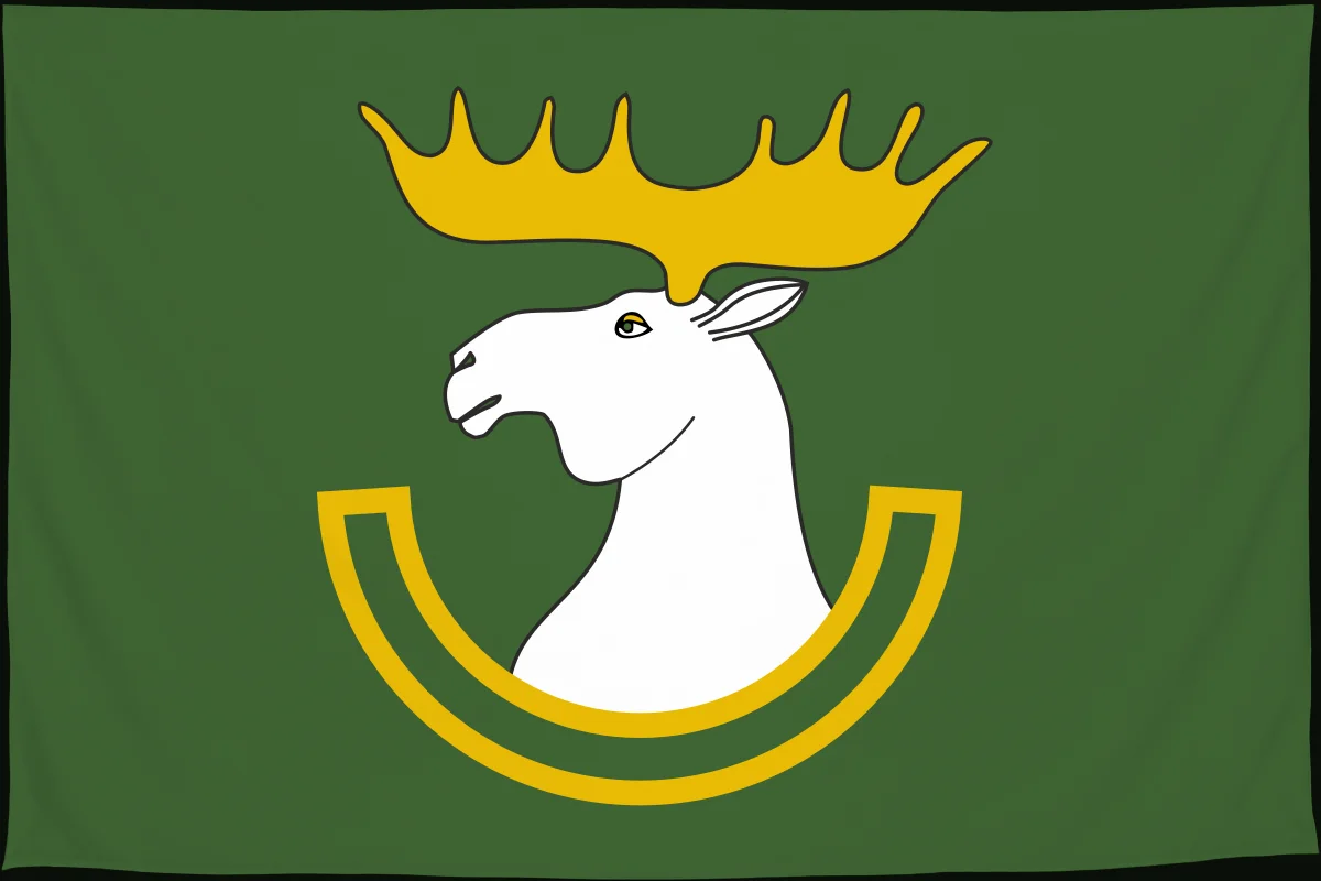 Флаг: Белокатайский район